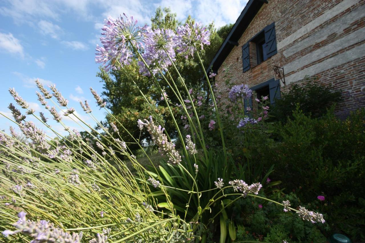 Chambre D'Hotes De Jacobiel Verlhac-Tescou Exterior photo